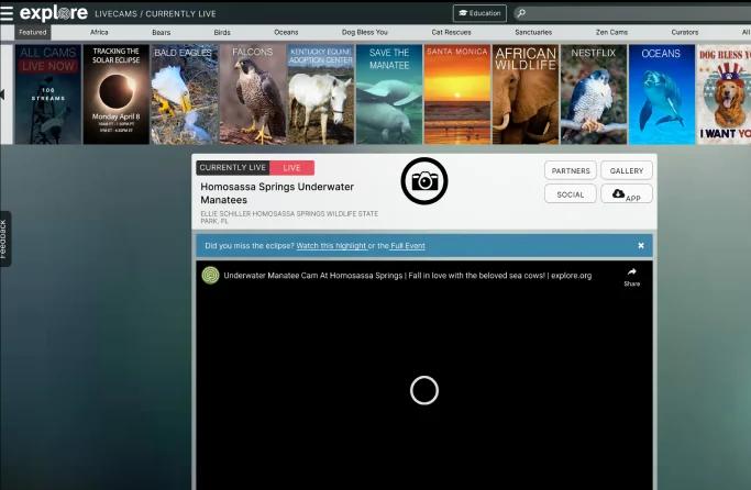 Explore.org Streaming Wildlife Network hero image